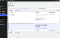 Page screenshot: Plugins &lsaquo; Test site &mdash; WordPress
