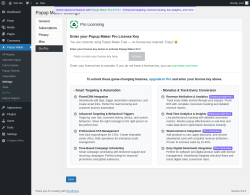 Page screenshot: Popup Maker → Settings