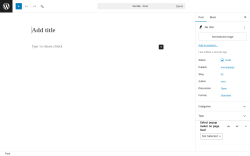 Page screenshot: Add Post ‹ Test site — WordPress