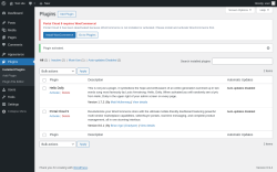 Page screenshot: Plugins &lsaquo; Test site &mdash; WordPress
