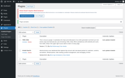 Page screenshot: Plugins &lsaquo; Test site &mdash; WordPress