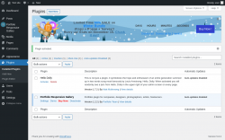 Page screenshot: Plugins ‹ Test site — WordPress