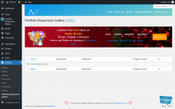 Page screenshot: Settings → Portfolio Responsive Gallery