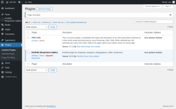 Page screenshot: Plugins ‹ Test site — WordPress