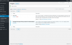 Page screenshot: Plugins ‹ Test site — WordPress