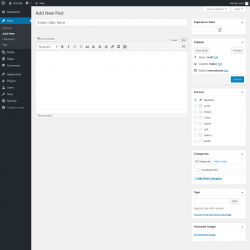 Page screenshot: Add New Post &lsaquo; Test site &mdash; WordPress