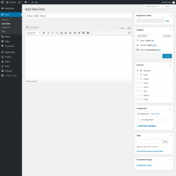 Page screenshot: Add New Post &lsaquo; Test site &mdash; WordPress