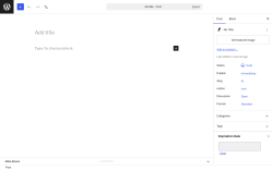 Page screenshot: Add Post &lsaquo; Test site &mdash; WordPress