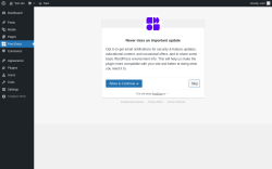 Page screenshot: Post Extra ‹ Test site — WordPress