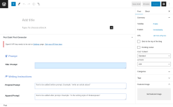 Page screenshot: Add New Post ‹ Test site — WordPress