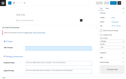 Page screenshot: Add New Post ‹ Test site — WordPress