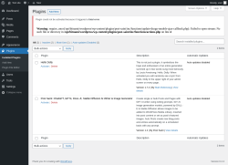 Page screenshot: Plugins ‹ Test site — WordPress