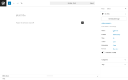 Page screenshot: Add Post ‹ Test site — WordPress
