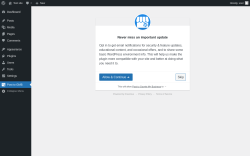 Page screenshot: Post to Google My Business ‹ Test site — WordPress