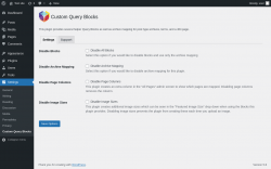 Page screenshot: Settings &rarr; Custom Query Blocks