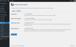 Page screenshot: Settings &rarr; Custom Query Blocks