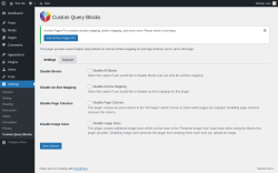 Page screenshot: Settings &rarr; Custom Query Blocks