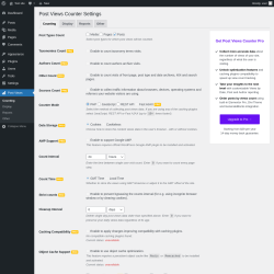 Page screenshot: Post Views