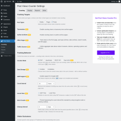 Page screenshot: Post Views &rarr; Display &rarr; Counting