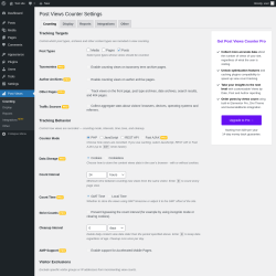 Page screenshot: Post Views &rarr; Display &rarr; Counting
