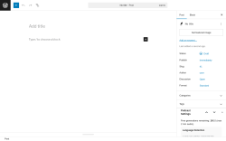 Page screenshot: Add Post &lsaquo; Test site &mdash; WordPress