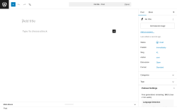 Page screenshot: Add Post &lsaquo; Test site &mdash; WordPress