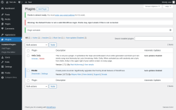 Page screenshot: Plugins ‹ Test site — WordPress
