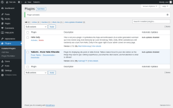 Page screenshot: Plugins &lsaquo; Test site &mdash; WordPress