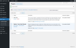 Page screenshot: Plugins &lsaquo; Test site &mdash; WordPress