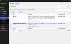 Page screenshot: Plugins &lsaquo; Test site &mdash; WordPress