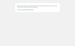 Page screenshot: WordPress &rsaquo; Error