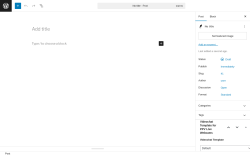 Page screenshot: Add Post ‹ Test site — WordPress