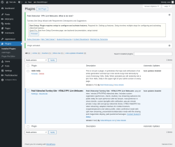 Page screenshot: Plugins &lsaquo; Test site &mdash; WordPress