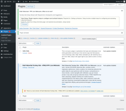 Page screenshot: Plugins &lsaquo; Test site &mdash; WordPress