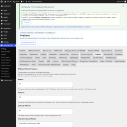 Page screenshot: PaidVideochat &rarr; Features
