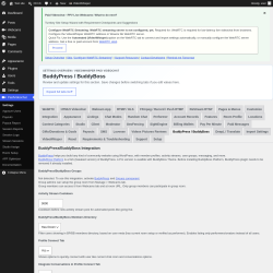 Page screenshot: PaidVideochat &rarr; BuddyPress / BuddyBoss