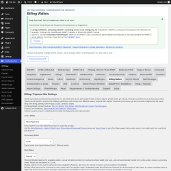 Page screenshot: PaidVideochat &rarr; Billing Wallets