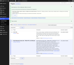 Page screenshot: Plugins &lsaquo; Test site &mdash; WordPress