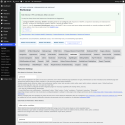 Page screenshot: PaidVideochat &rarr; Performer