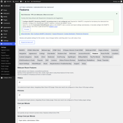 Page screenshot: PaidVideochat &rarr; Features