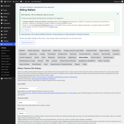 Page screenshot: PaidVideochat &rarr; Billing Wallets
