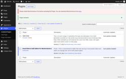 Page screenshot: Plugins &lsaquo; Test site &mdash; WordPress
