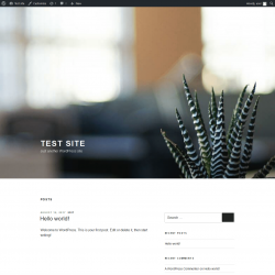 Page screenshot: Test site &ndash; Just another WordPress site