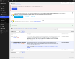 Page screenshot: Plugins &lsaquo; Test site &mdash; WordPress