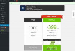 Page screenshot: Premmerce 54 → Upgrade  ➤