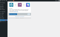 Page screenshot: Premmerce ‹ Test site — WordPress
