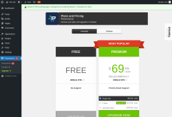 Page screenshot: Premmerce  → Upgrade  ➤