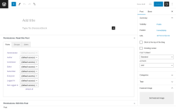 Page screenshot: Add New Post &lsaquo; Test site &mdash; WordPress