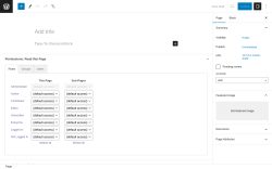 Page screenshot: Add New Page &lsaquo; Test site &mdash; WordPress
