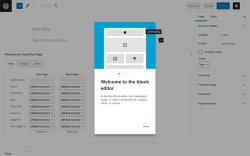 Page screenshot: Add New Page &lsaquo; Test site &mdash; WordPress